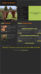 Mobile Screenshot of barbecueservice.cl